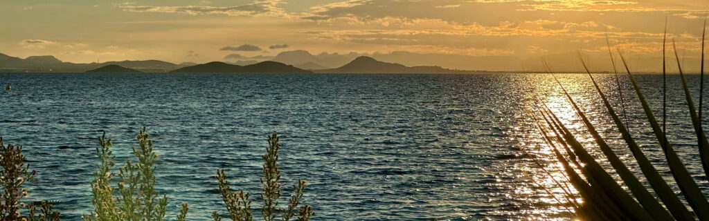 Sonnenuntergang über dem Atlantik mit glitzerndem Wasser, Inseln am Horizont und Pflanzen im Vordergrund